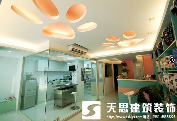 合肥寵物醫(yī)院設計